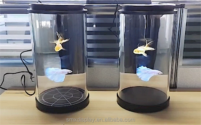 Hộp Hologram 3D Tương tác dựa trên AI, Hộp Trưng bày Holotube Holographic Display Hình người Kỹ thuật số 75 inch 5