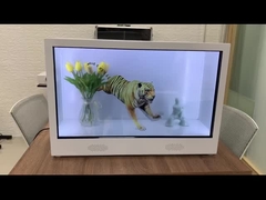 Hiển thị hình ba chiều 3D 65 inch Hình ba chiều Hình ba chiều Kim tự tháp trong suốt Trình chiếu video Holobox
