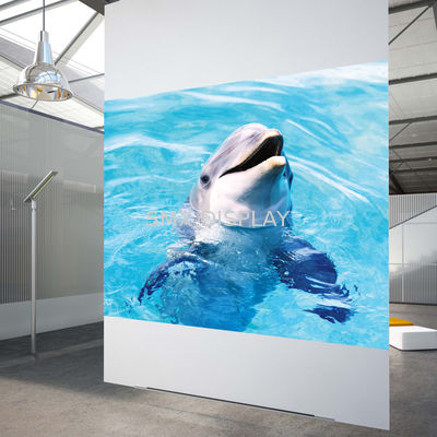 Chất lượng Phim chiếu phía sau màu trắng tương phản cao Phim chiếu 3D Holographic Cho cửa sổ cửa hàng Nhà máy