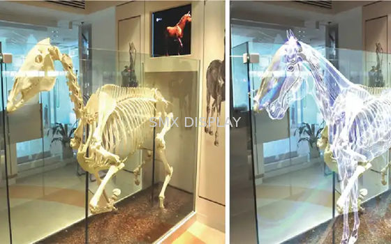 Chất lượng 92% rõ ràng 3D phim chiếu phía sau minh bạch quảng cáo phim kính holographic Nhà máy