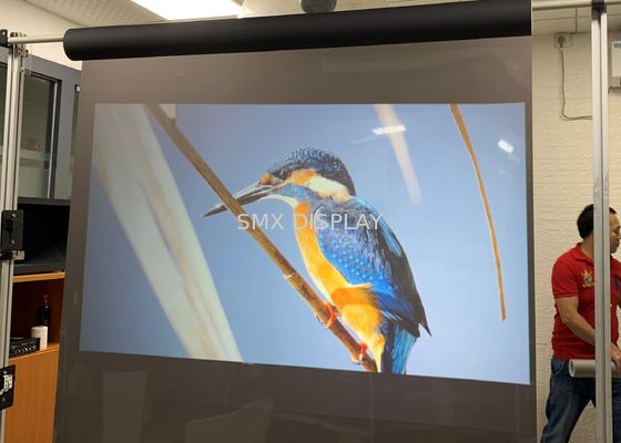 Chất lượng transparent holographic rear projection film Adhesive For Window Advertising Nhà máy
