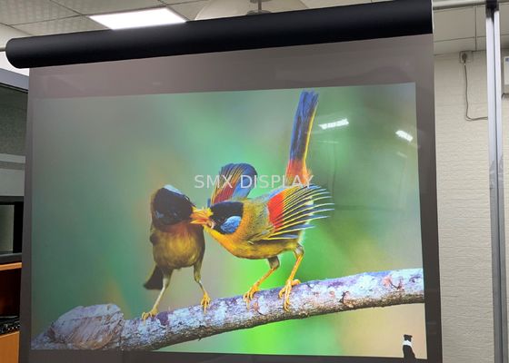 Chất lượng 3D 3000 Lumens Advertising clear rear projection film Hologram Technology Nhà máy