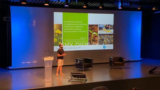 chất lượng Màn hình chiếu lớn có động cơ 350 inch với điều khiển từ xa RF Nhà máy